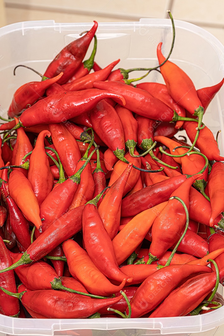 Conjunto de bagas de pimenta coletadas com foco seletivo