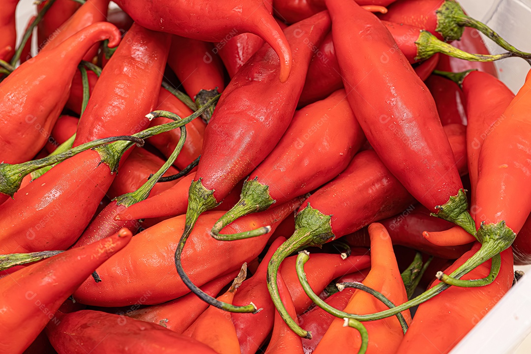 Conjunto de bagas de pimenta coletadas com foco seletivo