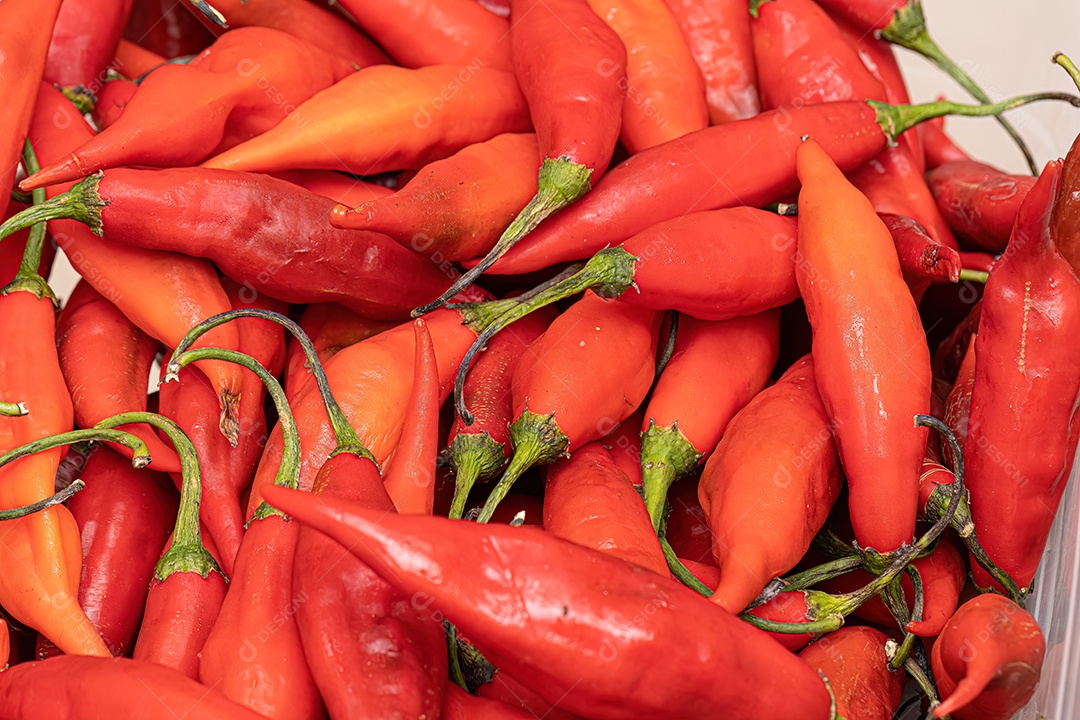 Conjunto de bagas de pimenta coletadas com foco seletivo