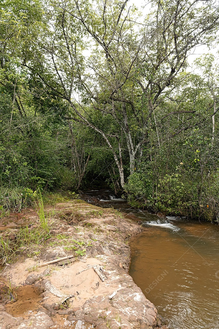 Riacho com pedras e pequenas cachoeiras na natureza