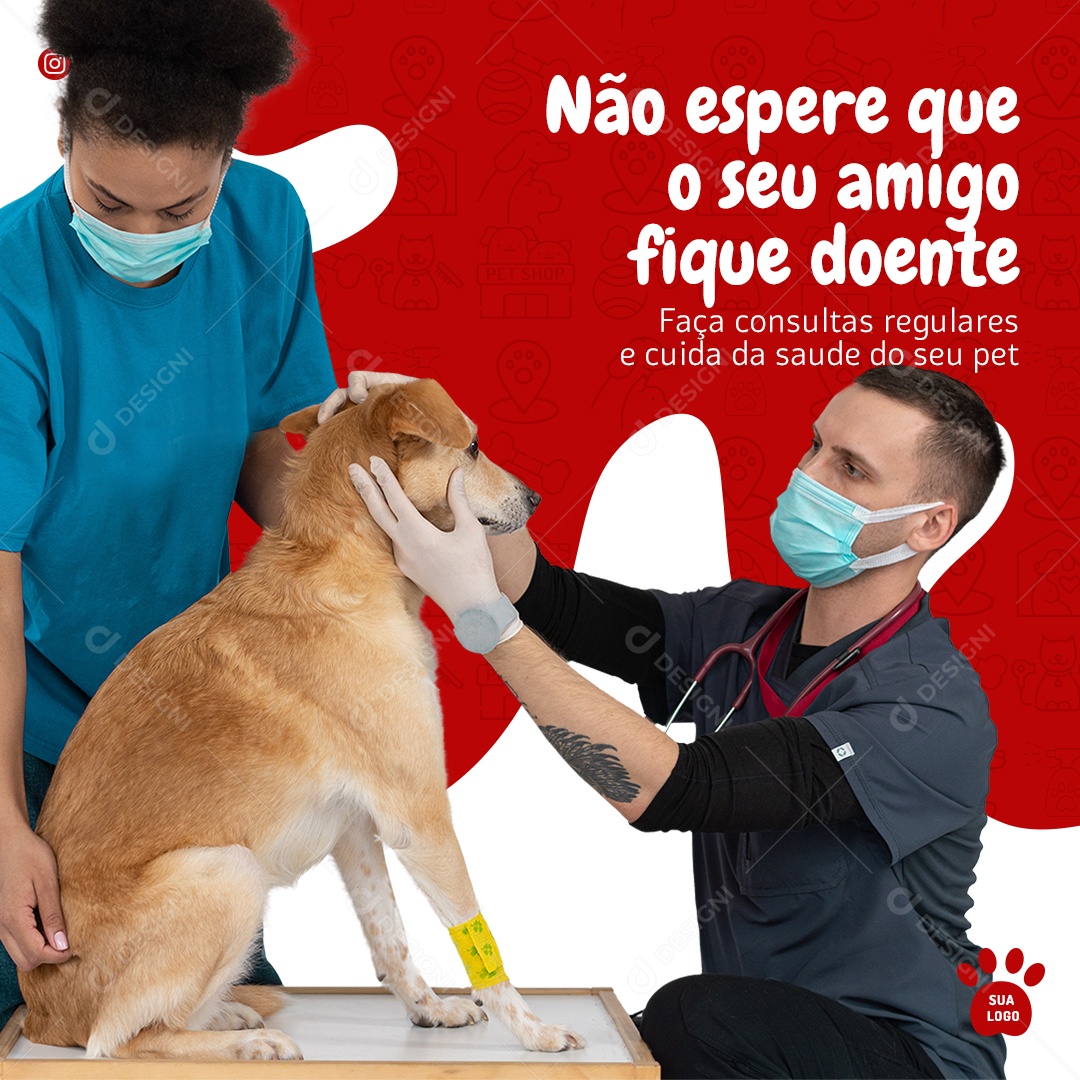 Feed Não Espere Que o Seu Amigo Fique Doente Pet Shop Social Media PSD Editável