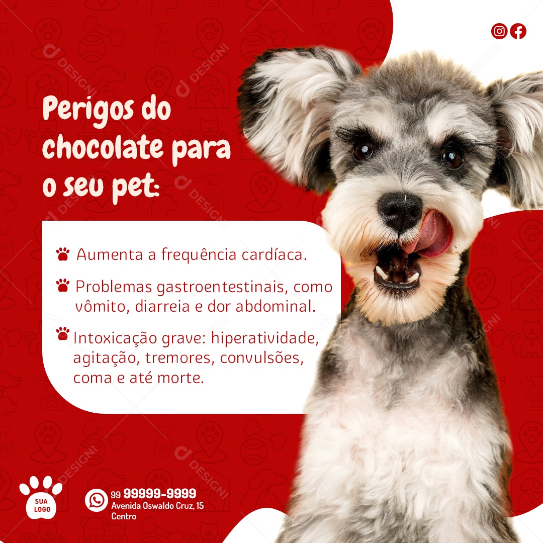 Social Media Feed Perigos Do Chocolate Para o Seu Pet PSD Editável