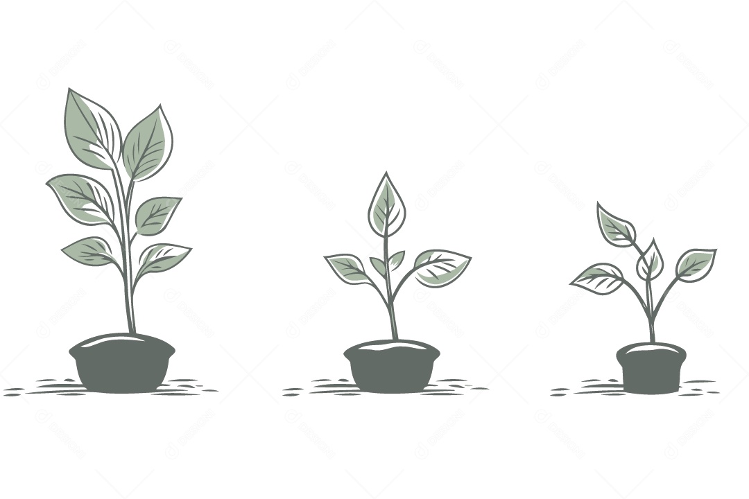 Plantas Ilustração Vetor EPS