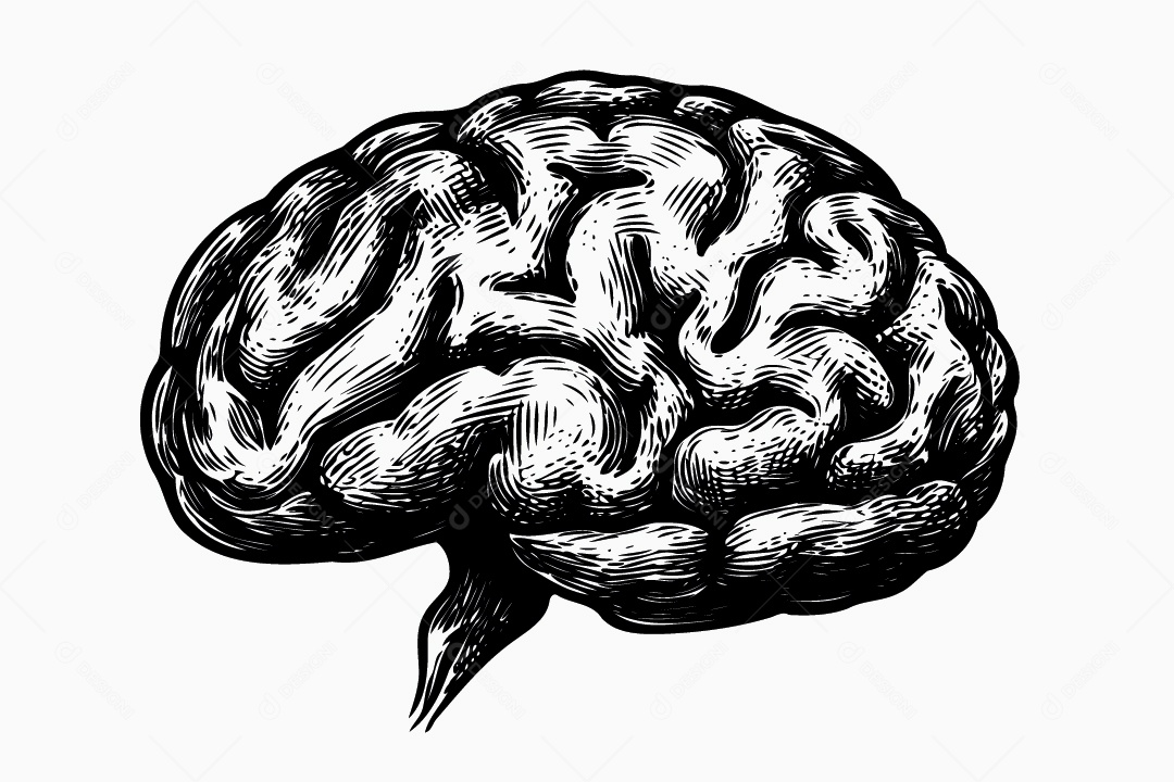 Cérebro Ilustração Vetor EPS