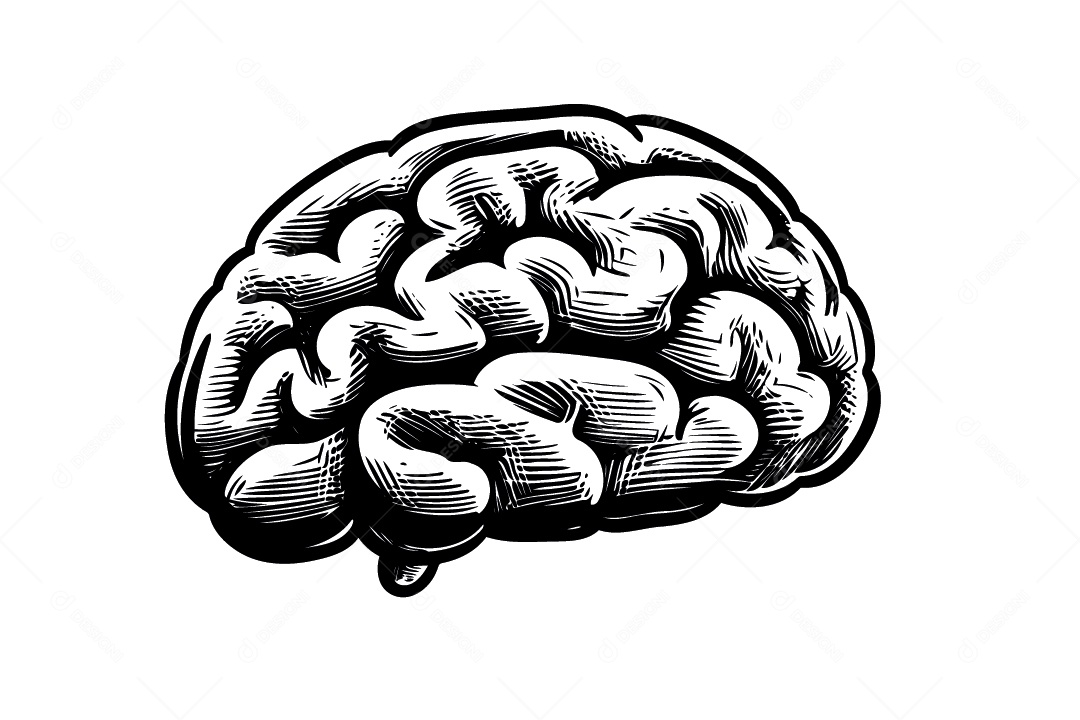 Cérebro Ilustração Vetor EPS
