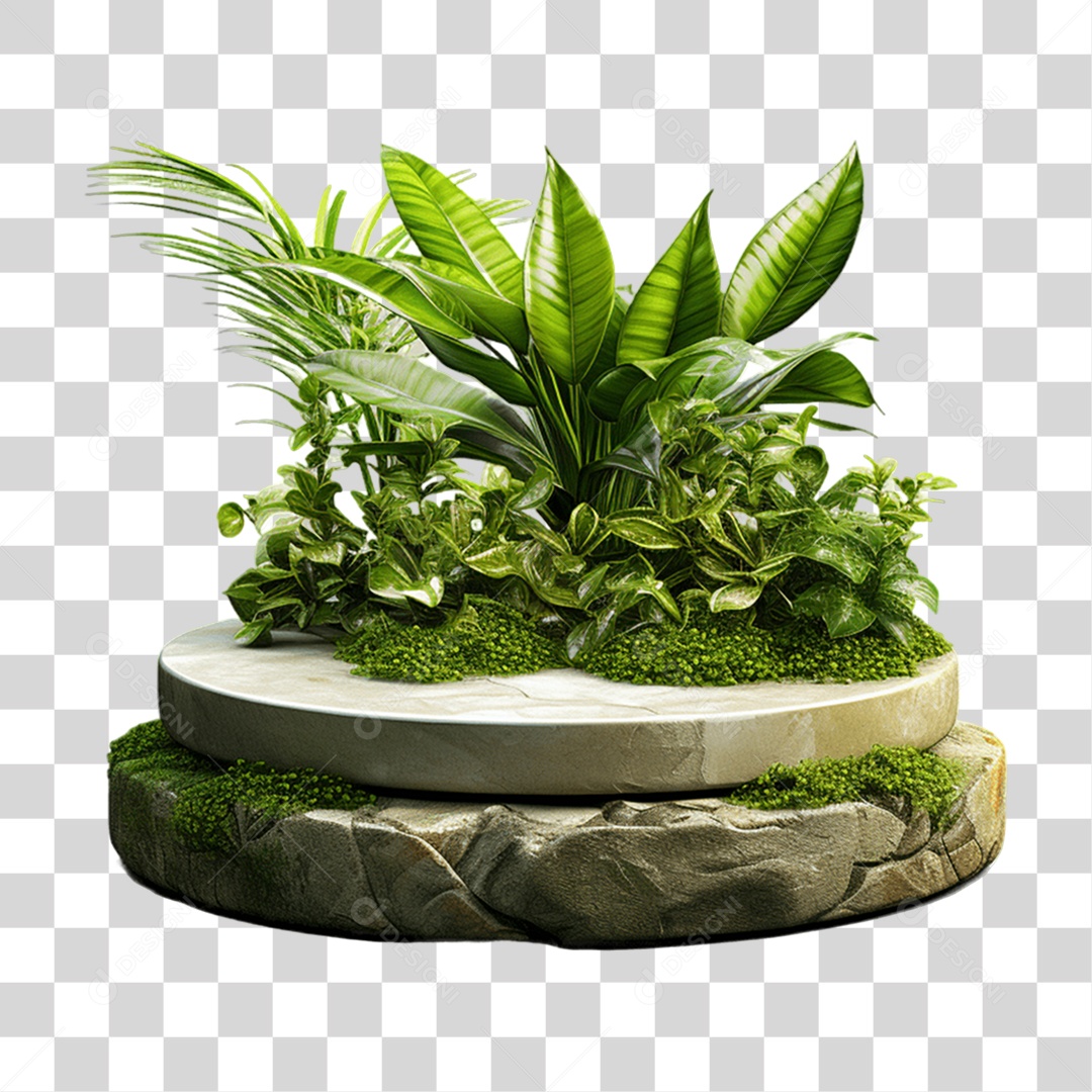 Cenário Pódio Podium Exposição PNG Transparente