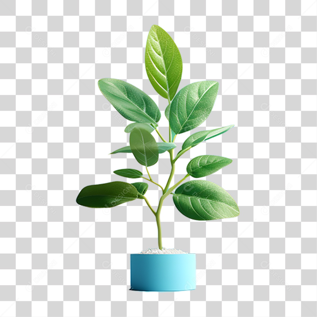 Objeto 3D Planta para Composição PNG Transparente
