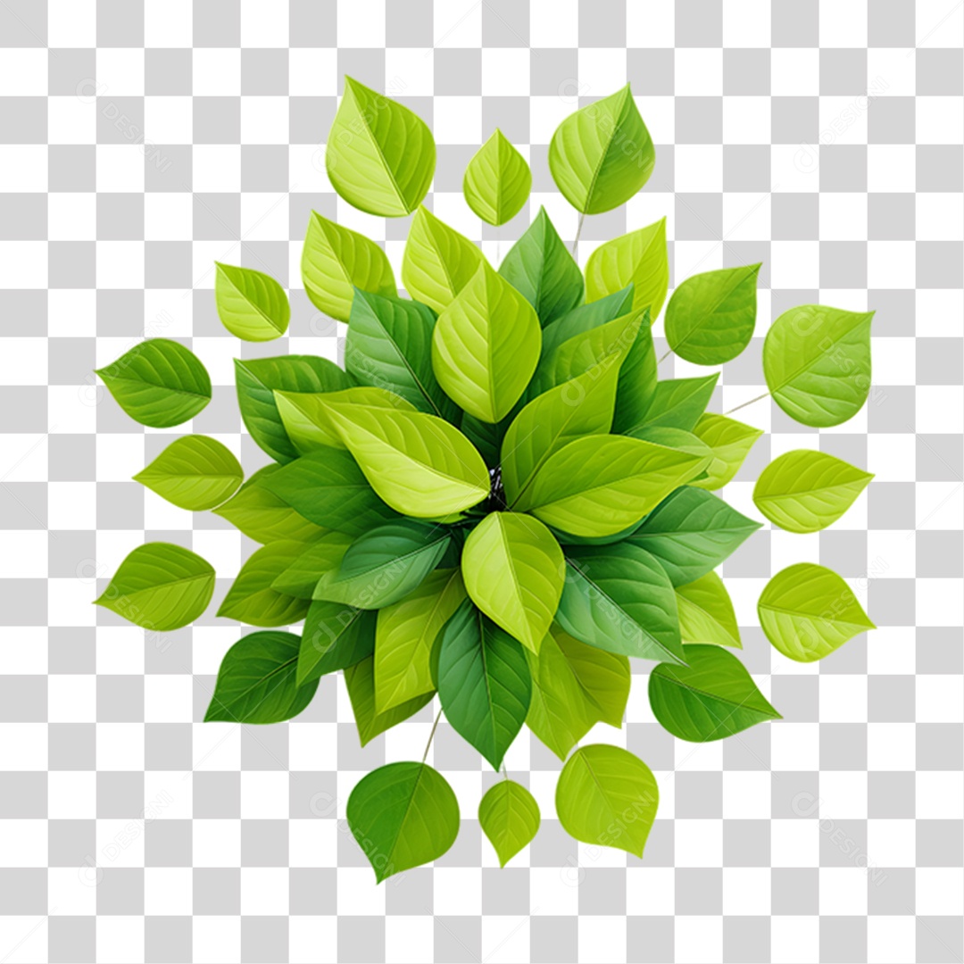 Objeto 3D Folhas para Composição PNG Transparente