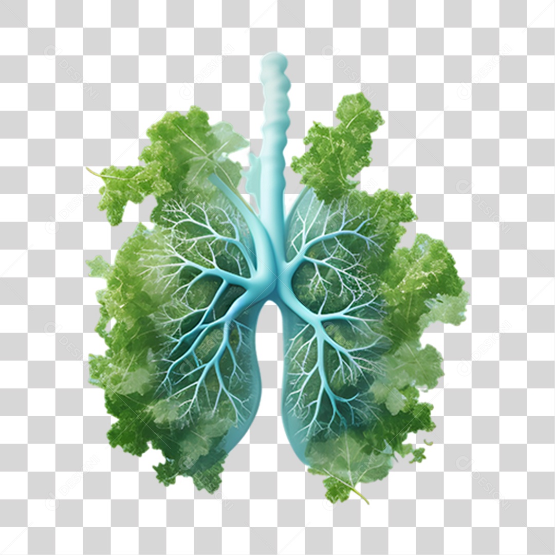 Objeto 3D Plantas em Forma de um Pulmão para Composição PNG Transparente