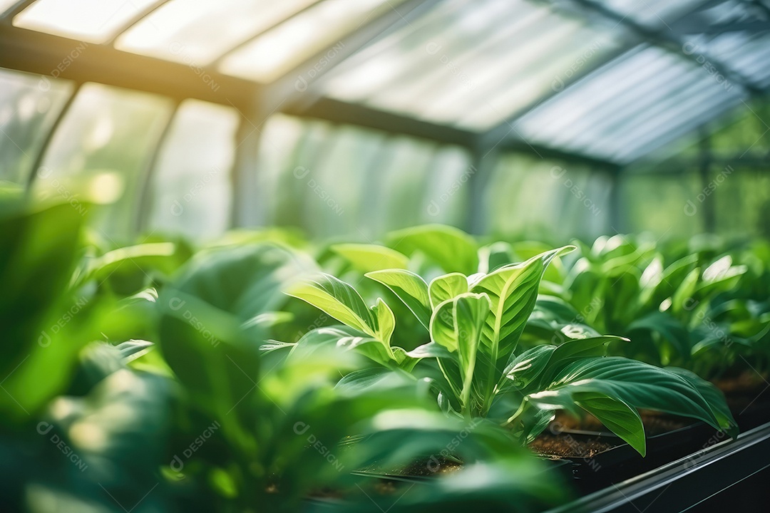 Estufa com variedade de verduras e legumes que crescem exuberantes em ambiente protegido.