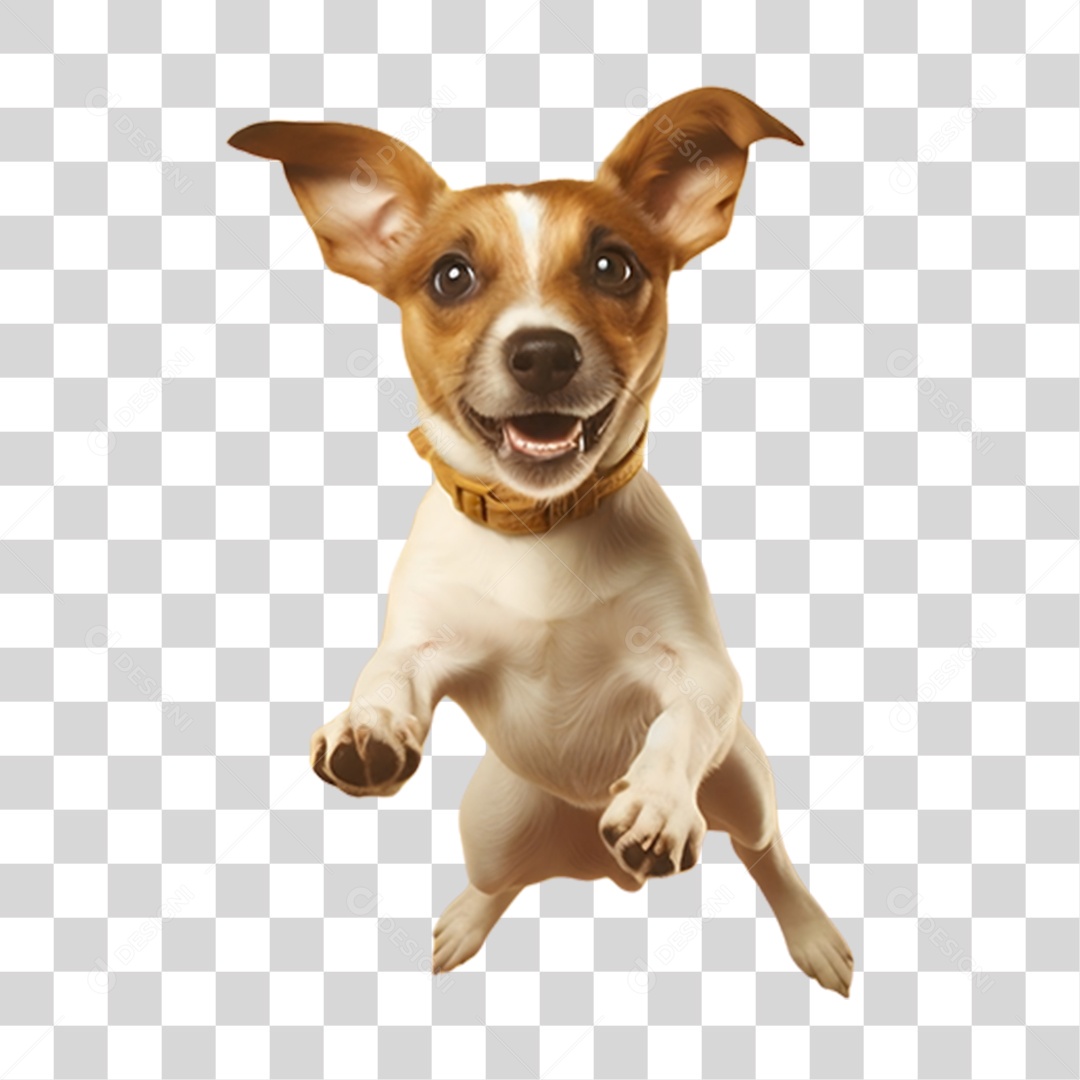Cachorro PNG Transparente