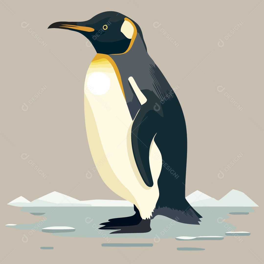 Pinguim Ilustração Vetor EPS