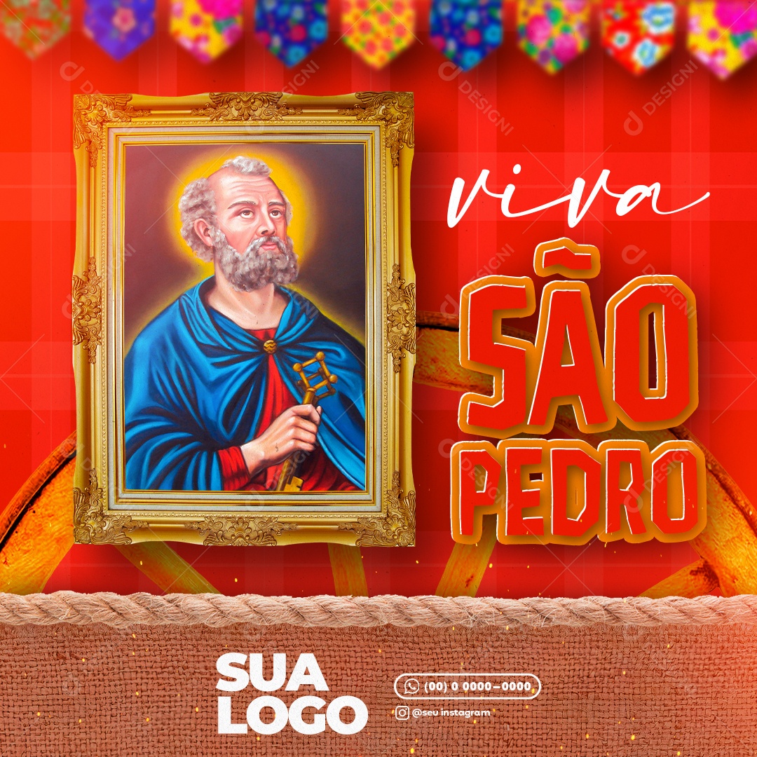 Viva São Pedro Social Media PSD Editável