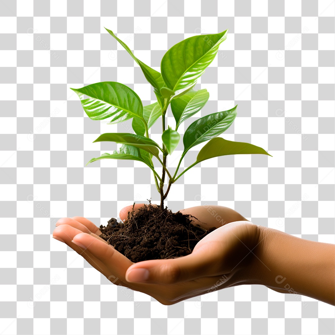 Mão com Terra e Planta na Mão PNG Transparente