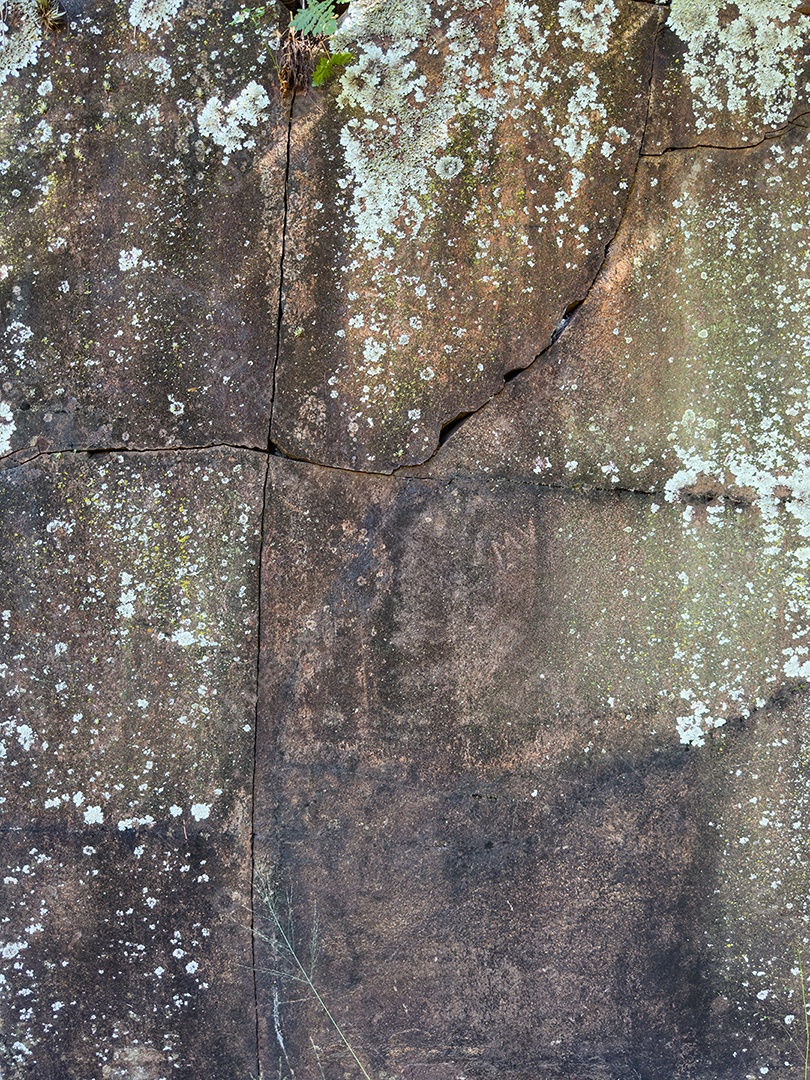 Parede de pedra coberta de musgo e fungos.