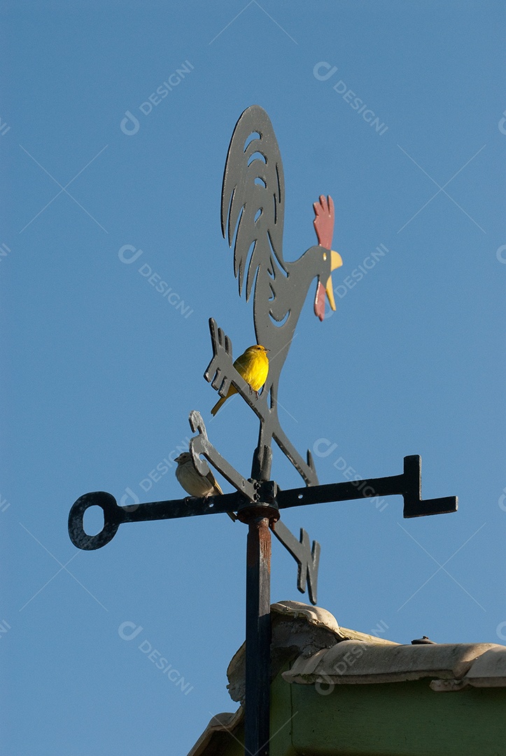 Catavento de galo para indicar direção do vento