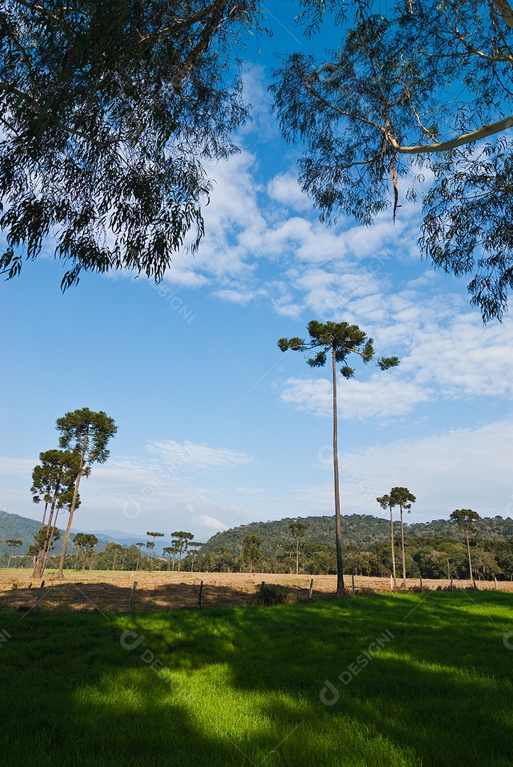 Vista da fazenda em dia ensolarado