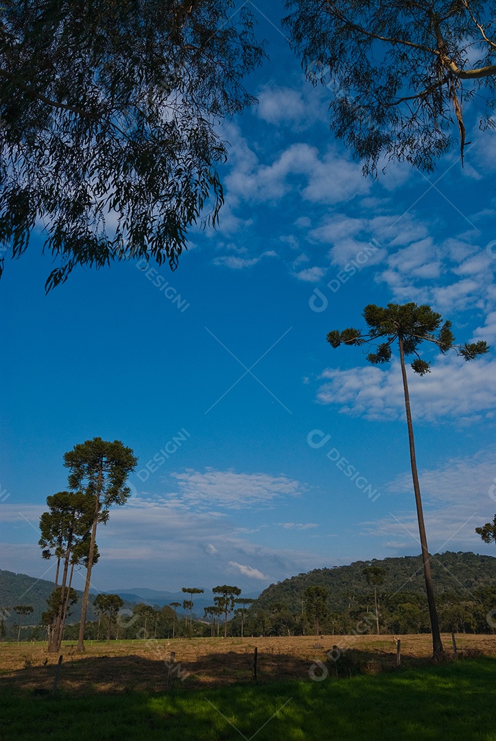 Vista da fazenda em dia ensolarado