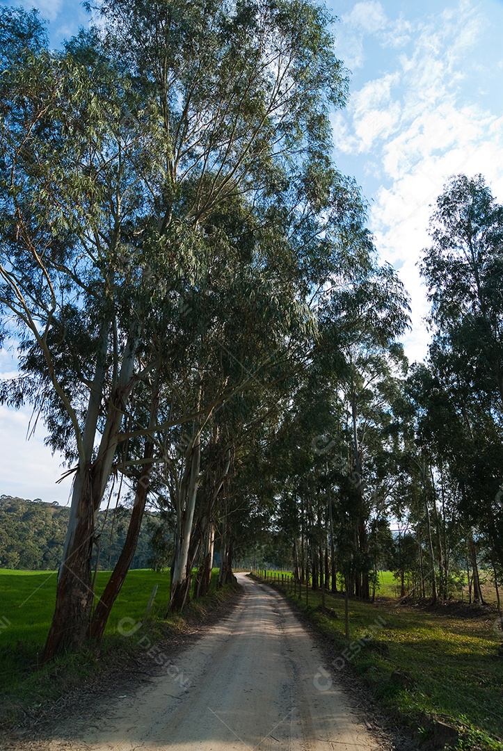 Vista da fazenda em dia ensolarado