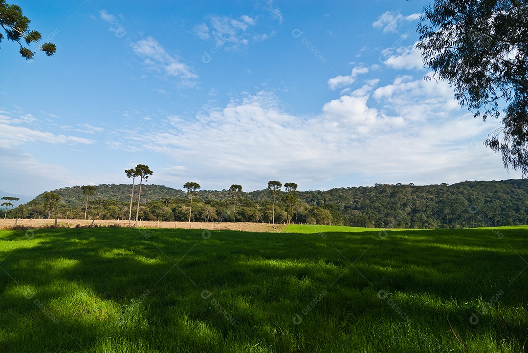 Vista da fazenda em dia ensolarado