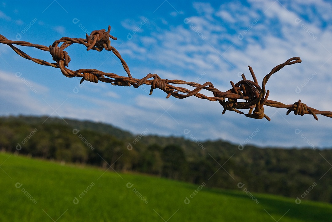 Vista da fazenda em dia ensolarado