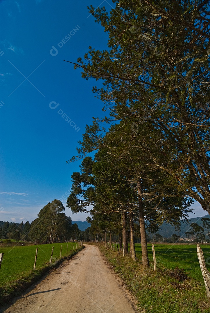 Vista da fazenda em dia ensolarado