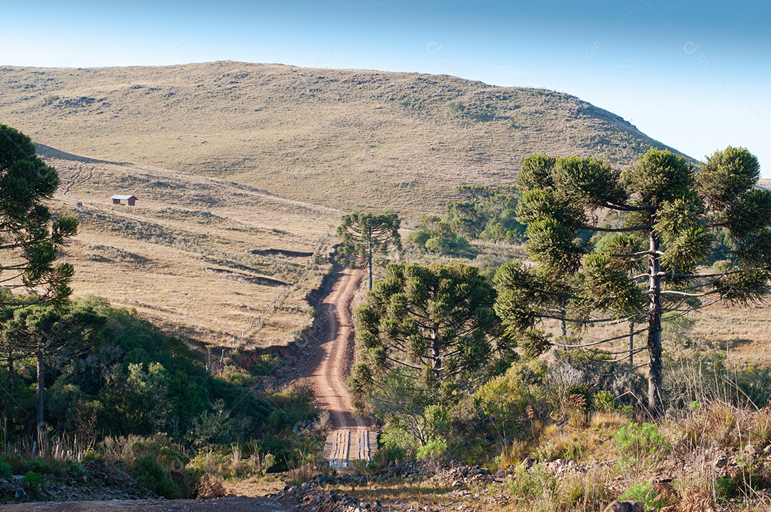 Vista das serras do campo
