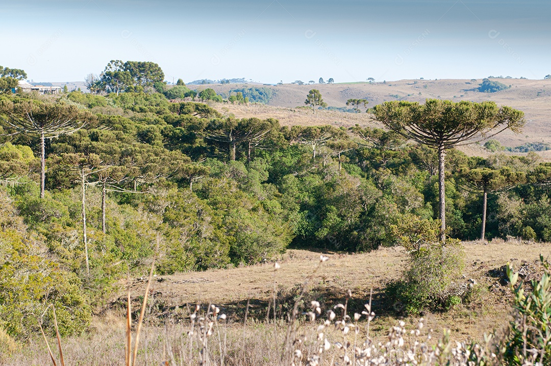Vista das serras do campo