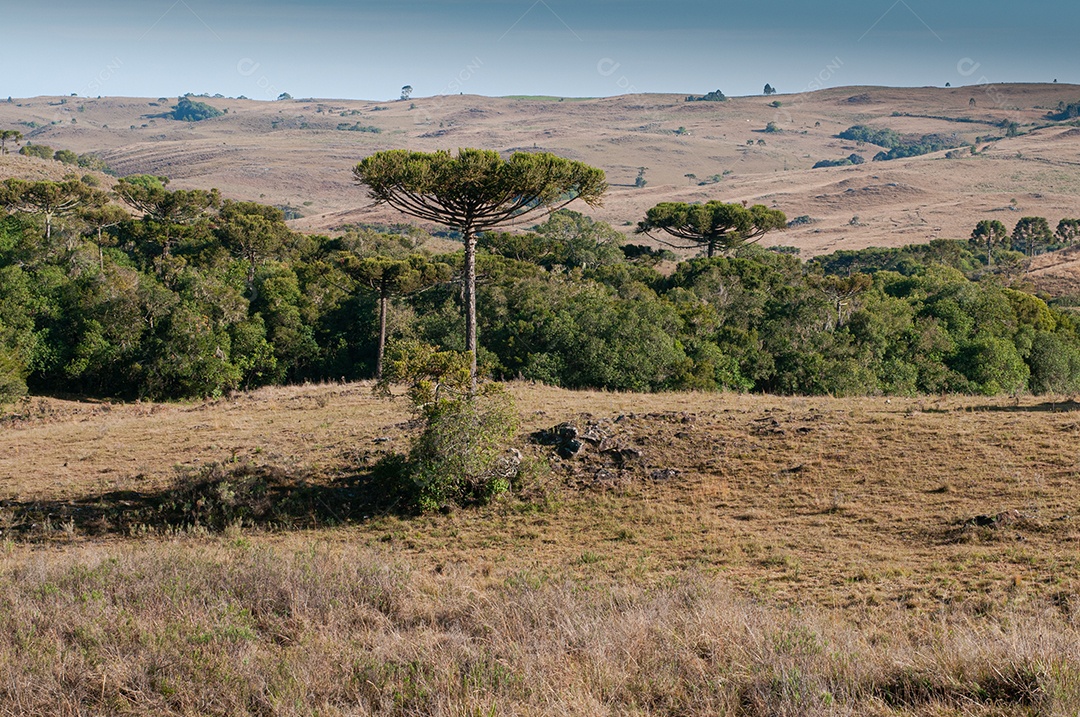 Vista das serras do campo