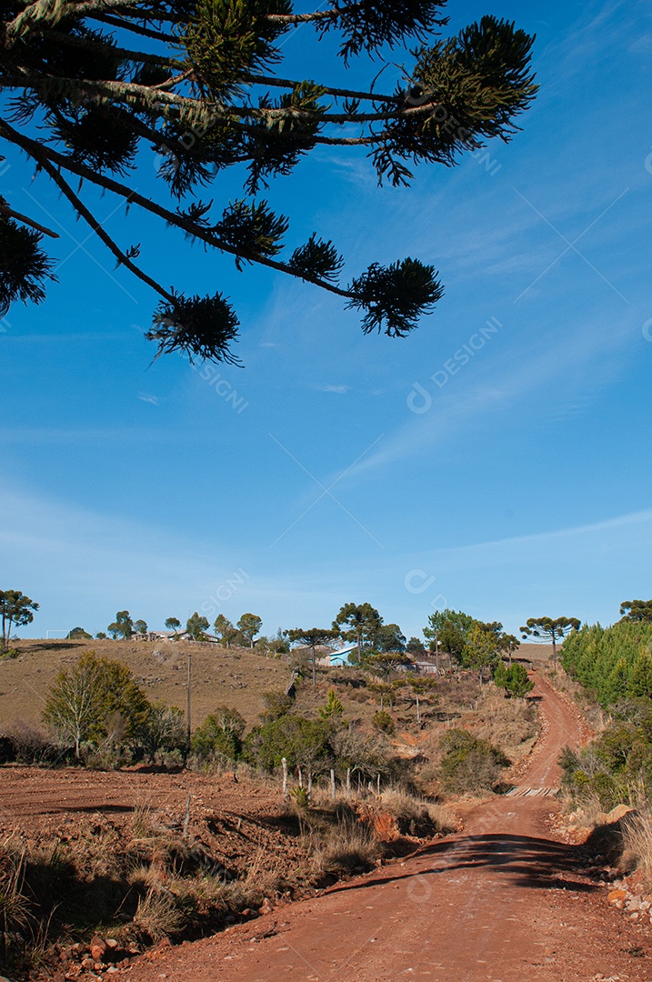 Vista das serras do campo