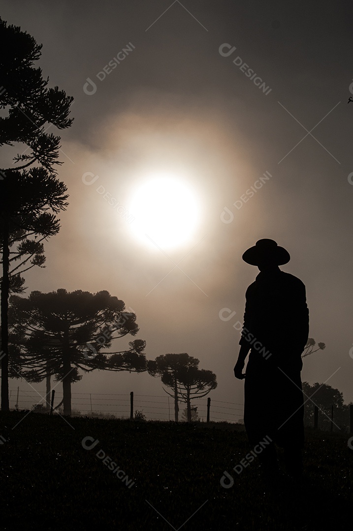 Homem trabalhando no campo