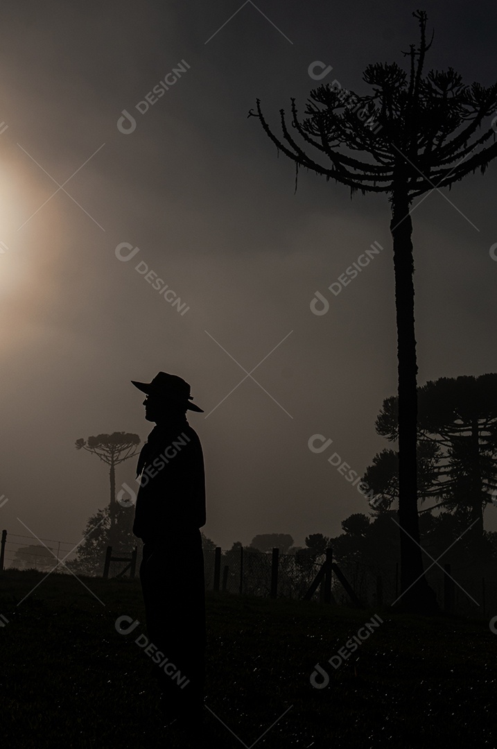 Homem trabalhando no campo