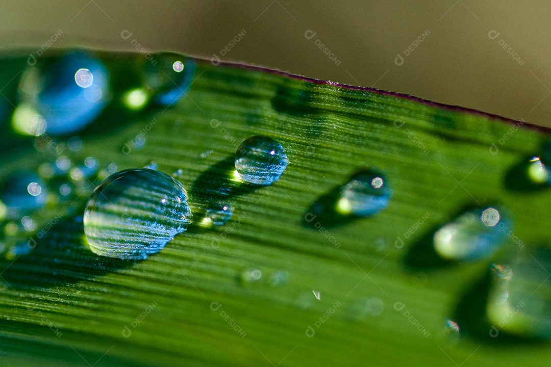 Textura de gotas de água