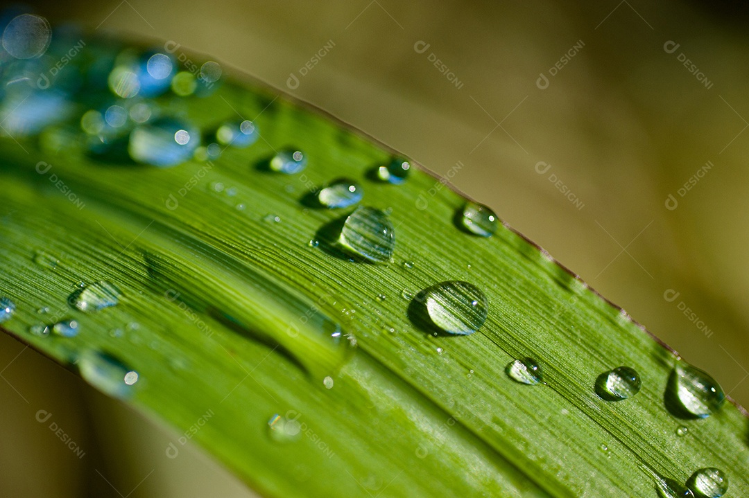 Textura de gotas de água