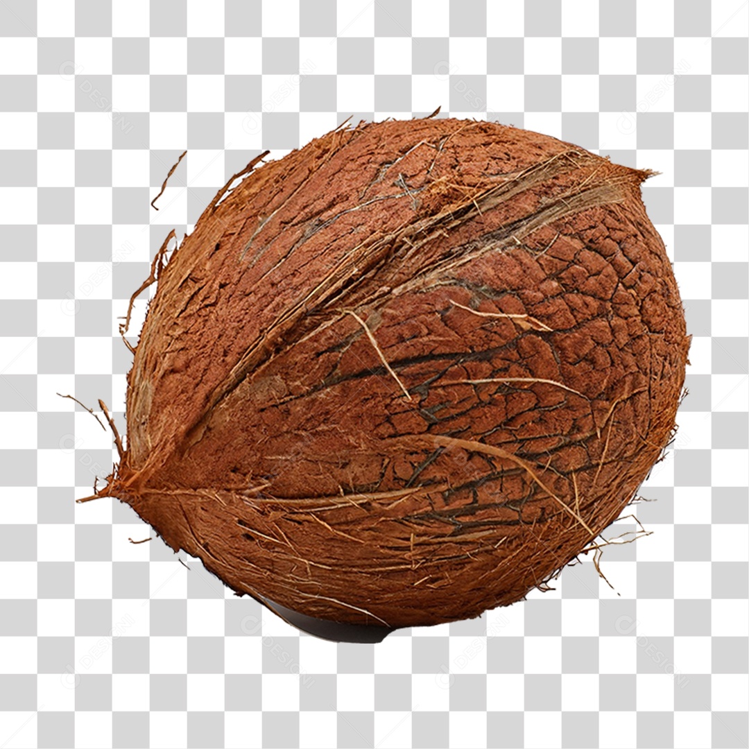 Coco Fechado PNG Transparente
