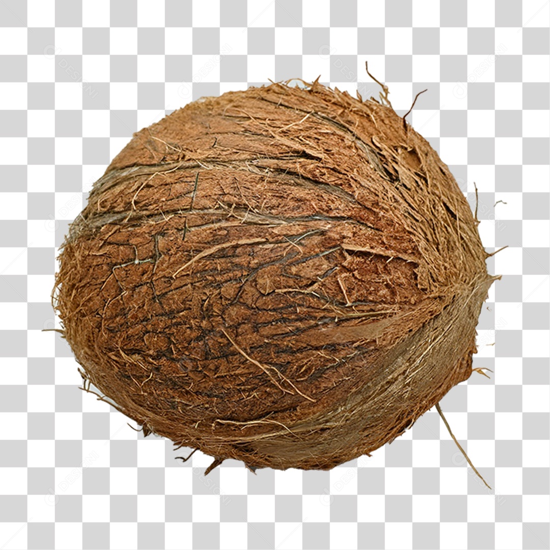 Coco Fechado PNG Transparente
