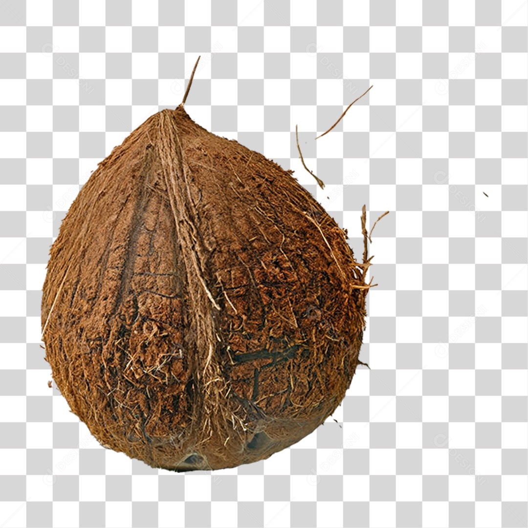 Coco Fechado PNG Transparente