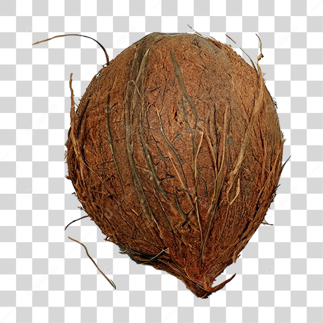 Coco Fechado PNG Transparente