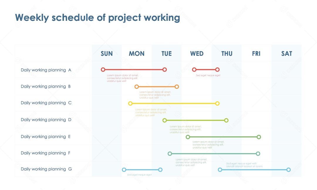 Infográficos Coloridos Ilustração Vetor EPS