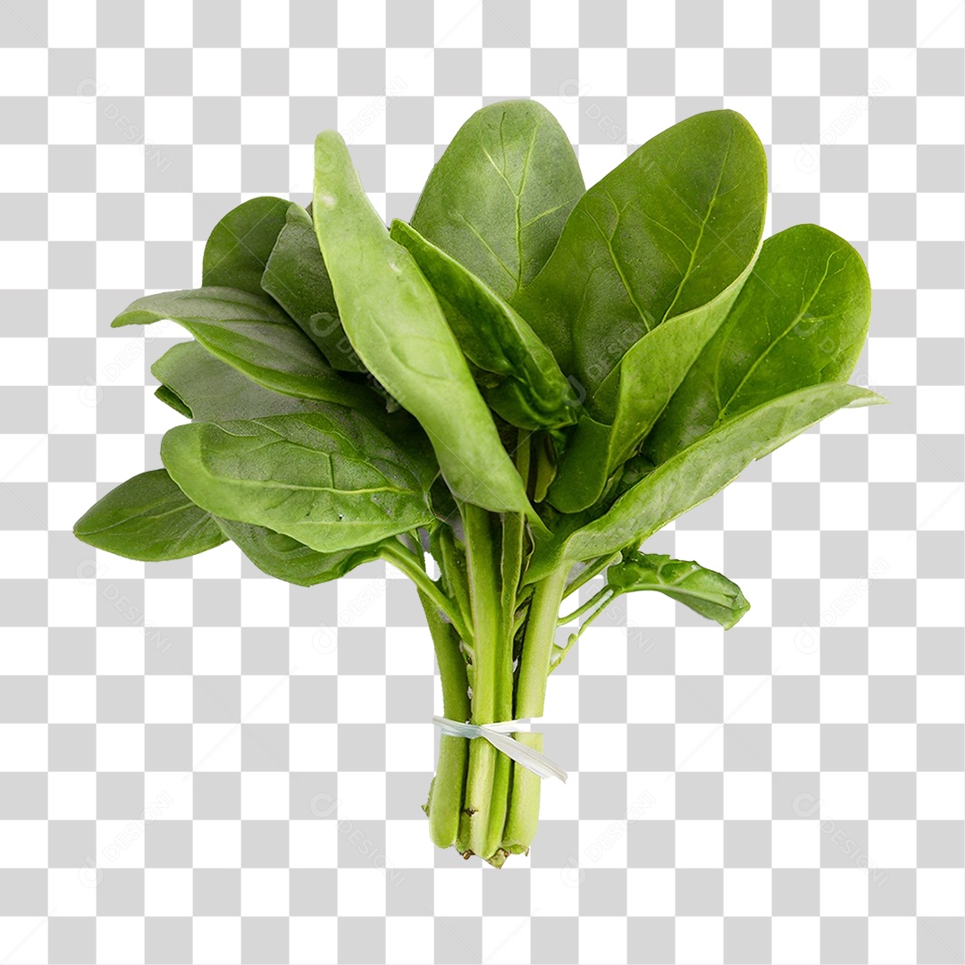 Couve Legumes Saldas PNG Transparente