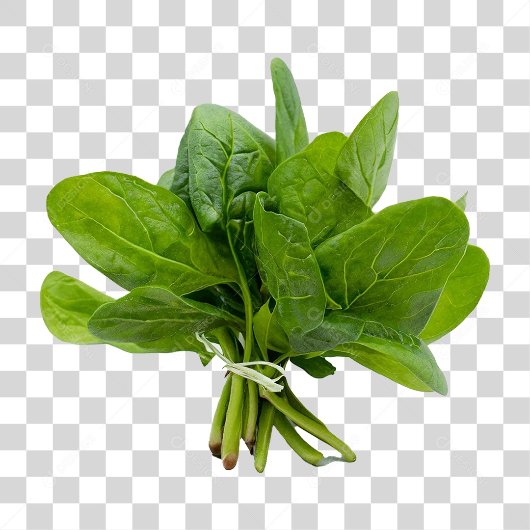 Couve Legumes Saldas PNG Transparente