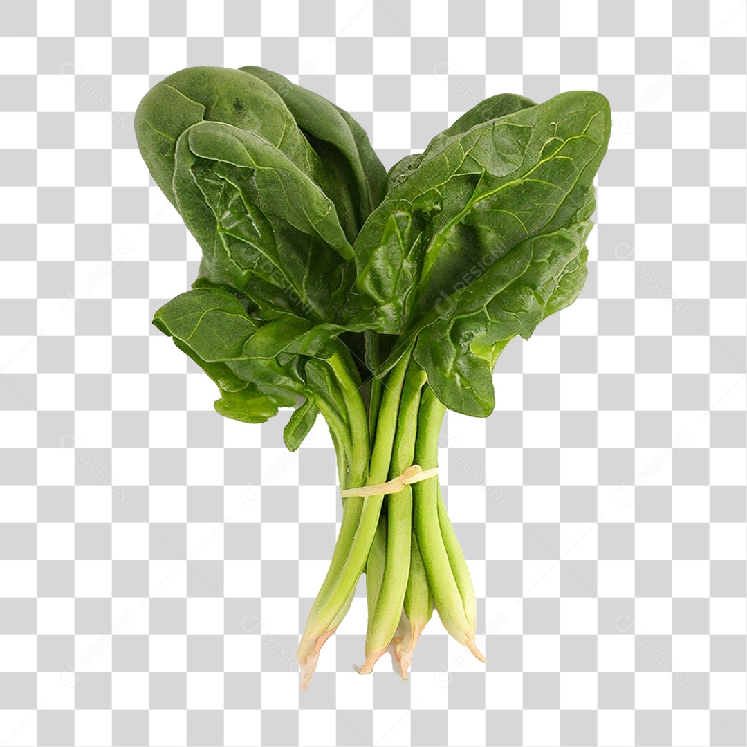 Couve Legumes Saldas PNG Transparente