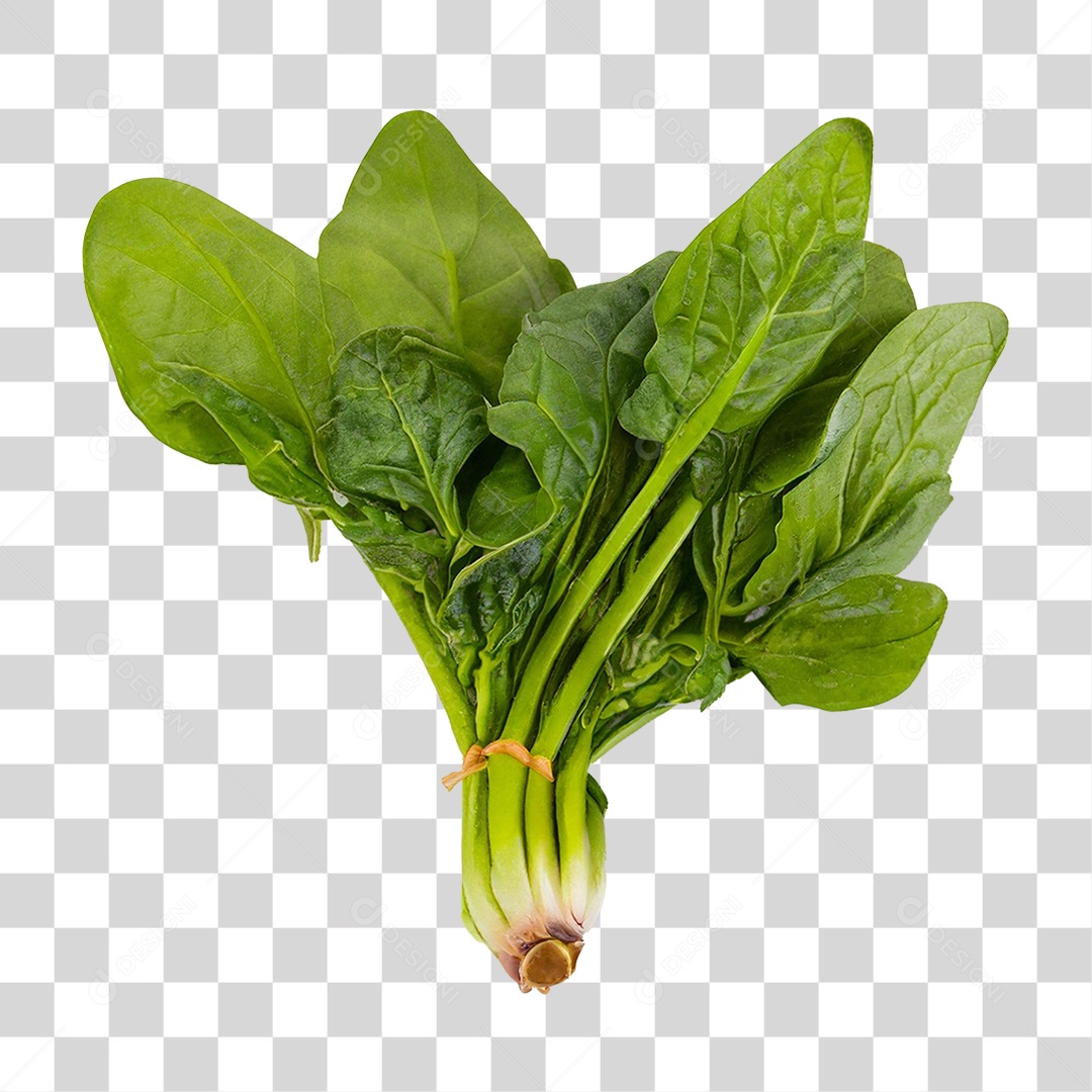 Couve Legumes Saldas PNG Transparente