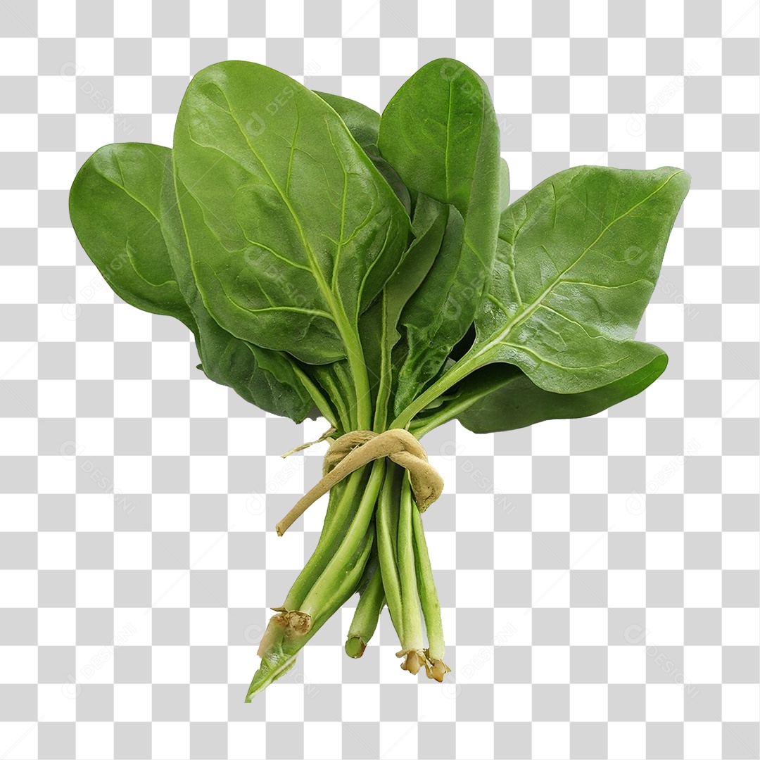 Couve Legumes Saldas PNG Transparente