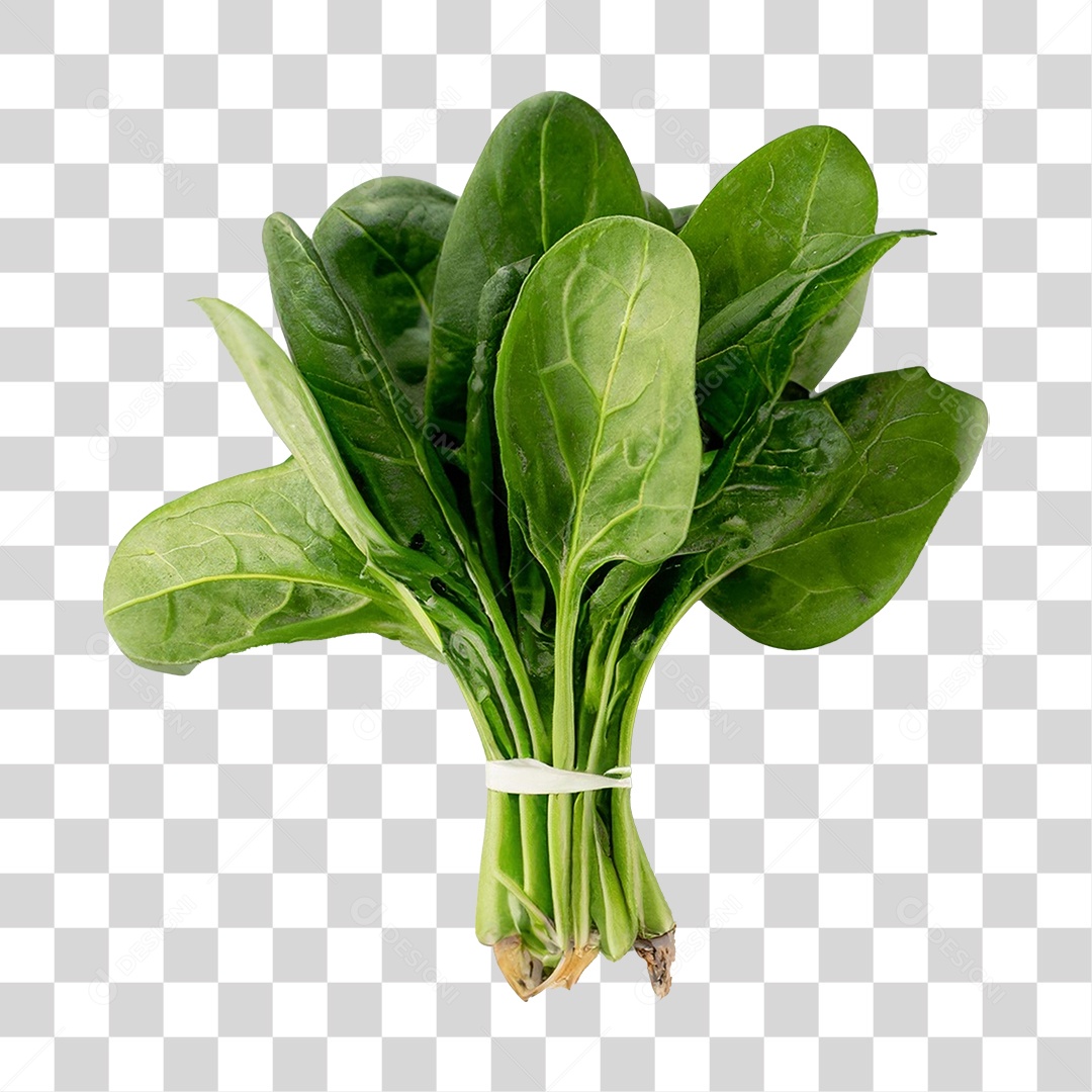 Couve Legumes Saldas PNG Transparente