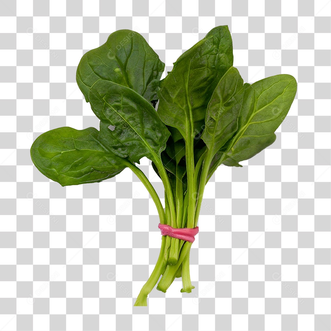 Couve Legumes Saldas PNG Transparente