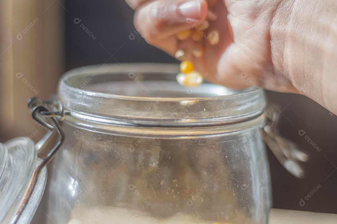Milho de pipoca, milho usado para fazer pipoca em pote de vidro com luz natural.