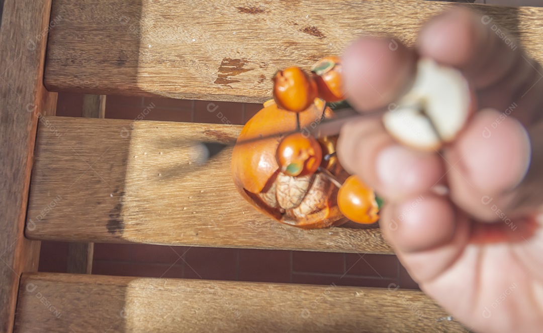 Bastões de ferro em forma de bergamota usados ​​para pegar lanches.