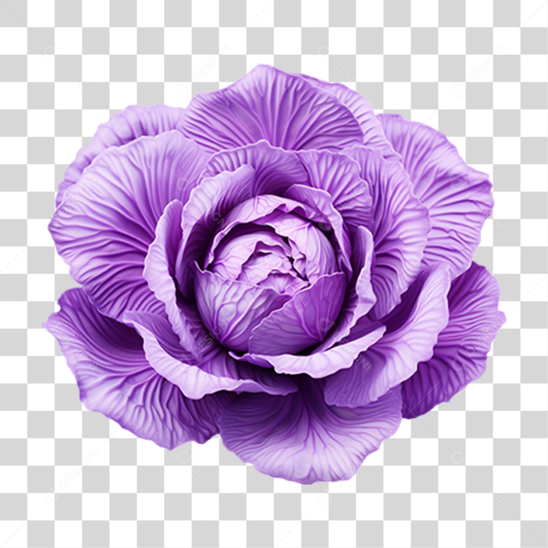 Verduras e Legumes Comidas Saudáveis PNG Transparente