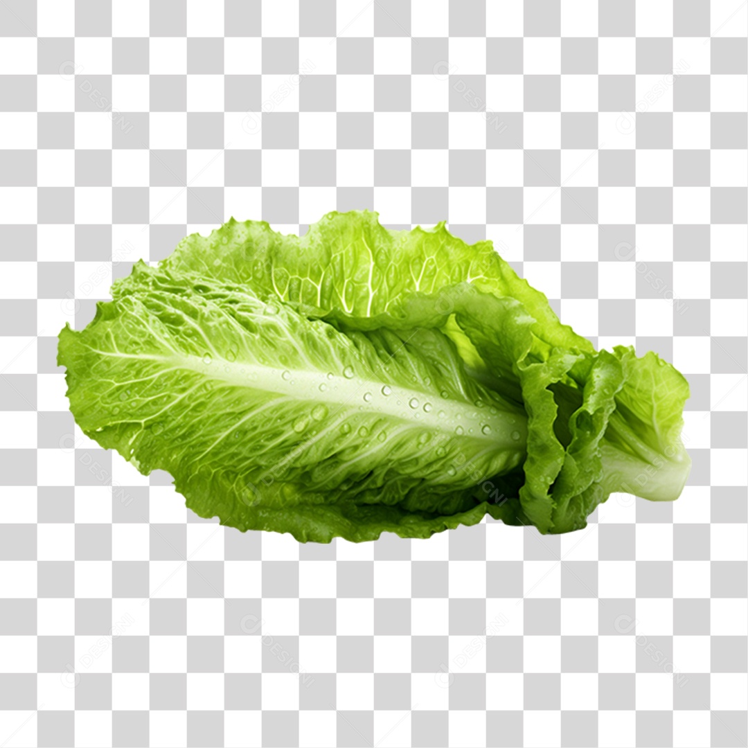 Vegetables and Vegetables Healthy Food Transparent PNG